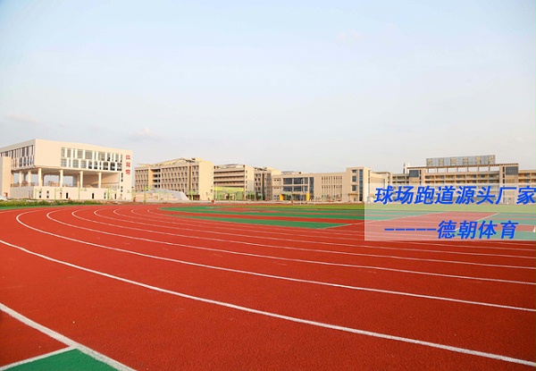 上海新国标全塑型塑胶跑道