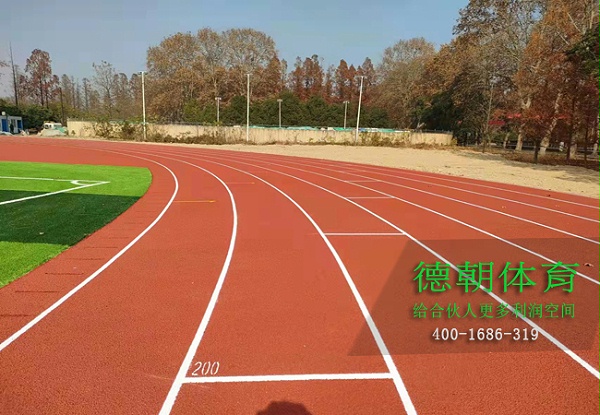 重庆新国标全塑型塑胶跑道