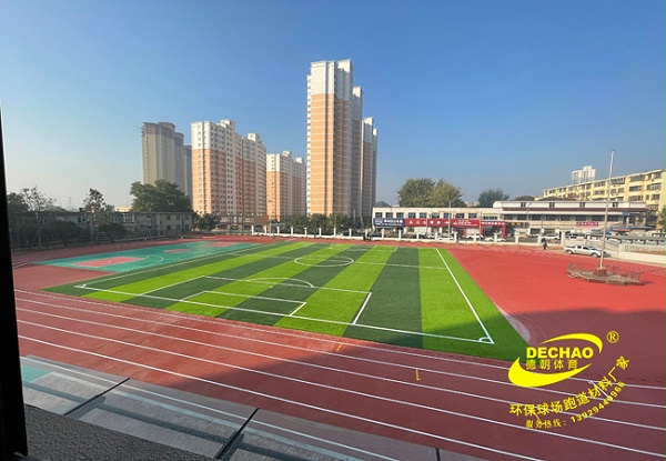 福建全塑型塑胶跑道材料