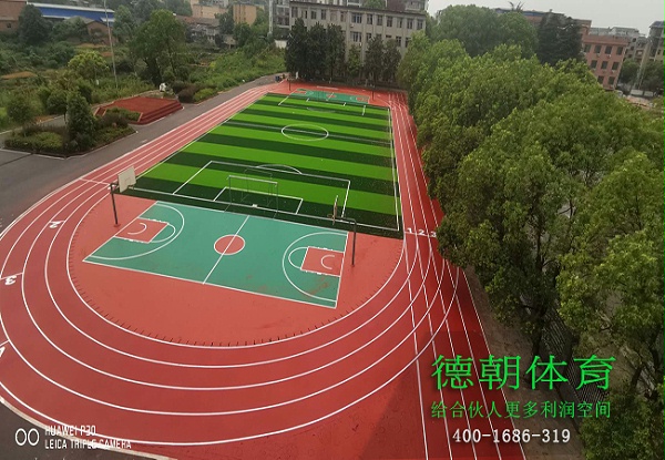 湖南新国标全塑型塑胶跑道