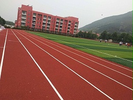 上海新国标全塑型塑胶跑道