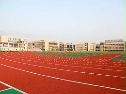 新国标混合型塑胶跑道材料