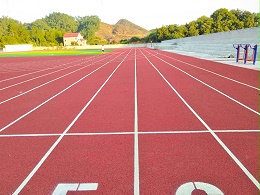 陕西新国标全塑型塑胶跑道
